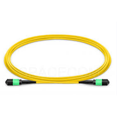 Single-mode-9-125um-Muti-mode-MTP-MPO